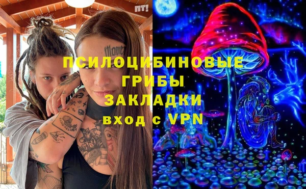тгк Алзамай