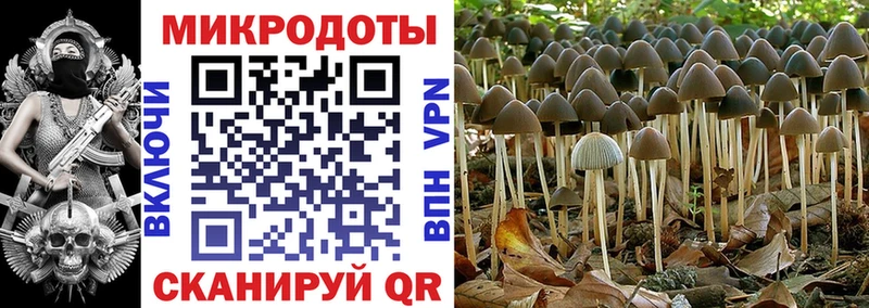 где найти наркотики  ОМГ ОМГ ссылки  Псилоцибиновые грибы Cubensis  Жуковка 